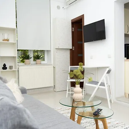 Cozzy City Centre Apartment Constanta